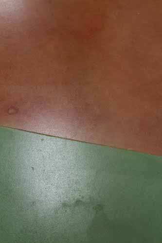 A close up look of reds and greens on the concrete stained floor.